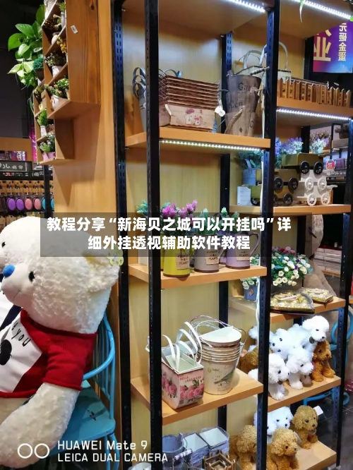 教程分享“新海贝之城可以开挂吗	”详细外挂透视辅助软件教程-第2张图片