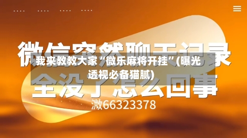 我来教教大家“微乐麻将开挂”(曝光透视必备猫腻)-第2张图片
