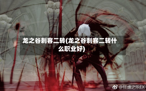 龙之谷刺客二转(龙之谷刺客二转什么职业好)