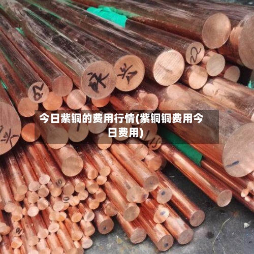 今日紫铜的费用行情(紫铜铜费用今日费用)-第2张图片