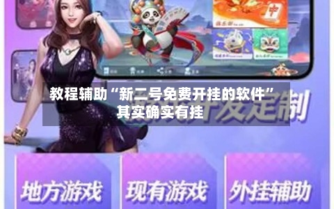 教程辅助“新二号免费开挂的软件”其实确实有挂-第3张图片