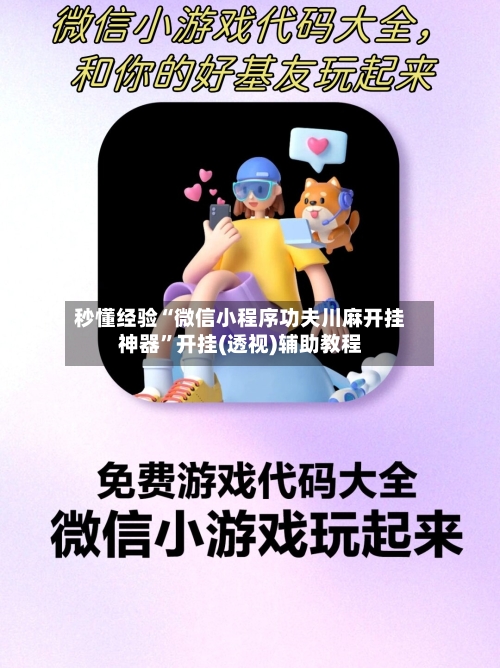 秒懂经验“微信小程序功夫川麻开挂神器”开挂(透视)辅助教程-第3张图片