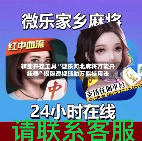 辅助开挂工具“微乐河北麻将万能开挂器”揭秘透视辅助万能挂用法-第2张图片