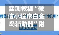 实测教程“微信小程序白金岛辅助器”附开挂脚本详细步骤-第2张图片