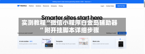 实测教程“微信小程序白金岛辅助器”附开挂脚本详细步骤-第3张图片
