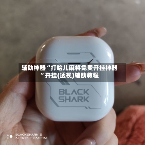 辅助神器“打哈儿麻将免费开挂神器	”开挂(透视)辅助教程-第2张图片