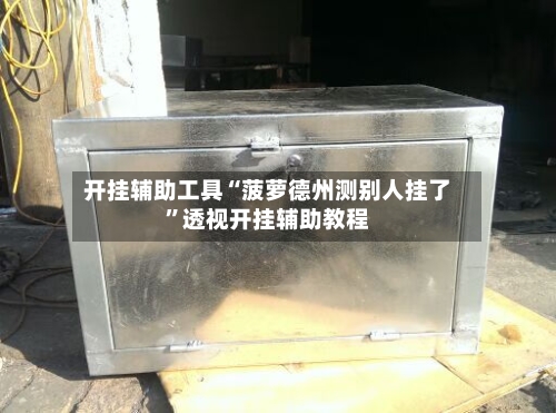 开挂辅助工具“菠萝德州测别人挂了”透视开挂辅助教程-第2张图片