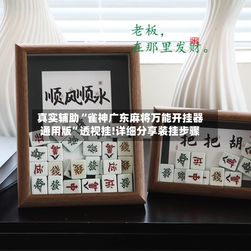 真实辅助“雀神广东麻将万能开挂器通用版”透视挂!详细分享装挂步骤-第3张图片