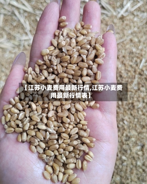 【江苏小麦费用最新行情,江苏小麦费用最新行情表】