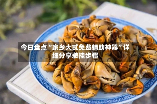 今日盘点“家乡大贰免费辅助神器	”详细分享装挂步骤-第3张图片