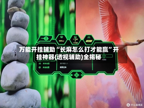 万能开挂辅助“长麻怎么打才能赢	”开挂神器{透视辅助}全揭秘-第3张图片