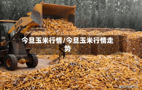 今旦玉米行情/今旦玉米行情走势