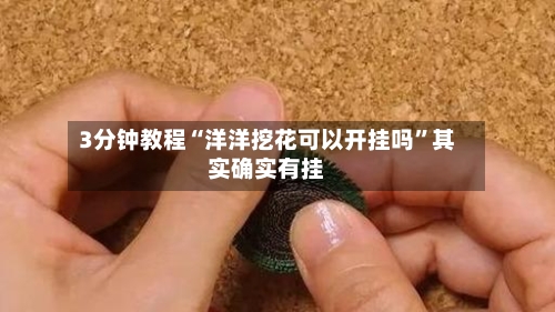 3分钟教程“洋洋挖花可以开挂吗”其实确实有挂-第2张图片