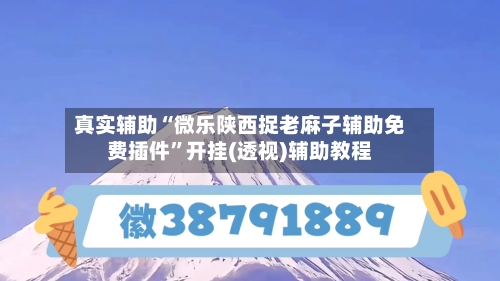 真实辅助“微乐陕西捉老麻子辅助免费插件	”开挂(透视)辅助教程-第2张图片