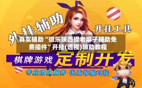 真实辅助“微乐陕西捉老麻子辅助免费插件”开挂(透视)辅助教程-第3张图片