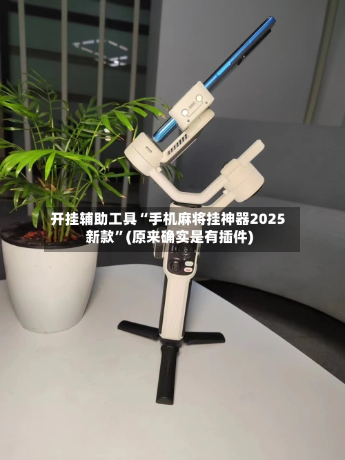 开挂辅助工具“手机麻将挂神器2025新款”(原来确实是有插件)-第2张图片