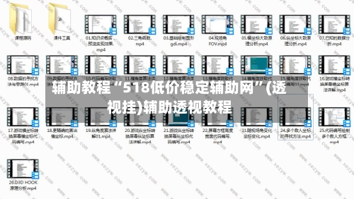 辅助教程“518低价稳定辅助网”(透视挂)辅助透视教程-第2张图片