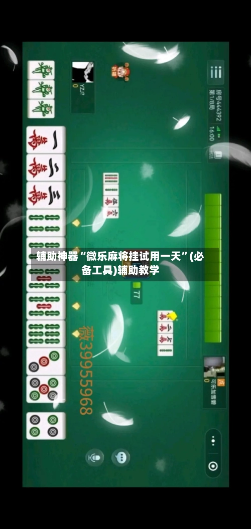 辅助神器“微乐麻将挂试用一天	”(必备工具)辅助教学-第2张图片