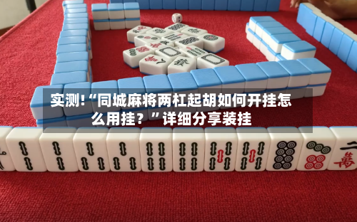 实测!“同城麻将两杠起胡如何开挂怎么用挂？”详细分享装挂-第2张图片