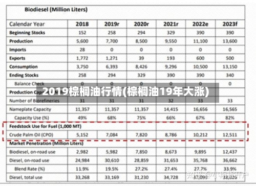 2019棕榈油行情(棕榈油19年大涨)