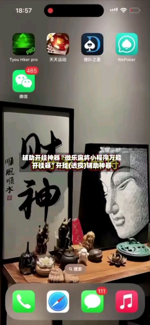 辅助开挂神器“微乐麻将小程序万能开挂器”开挂(透视)辅助神器-第2张图片
