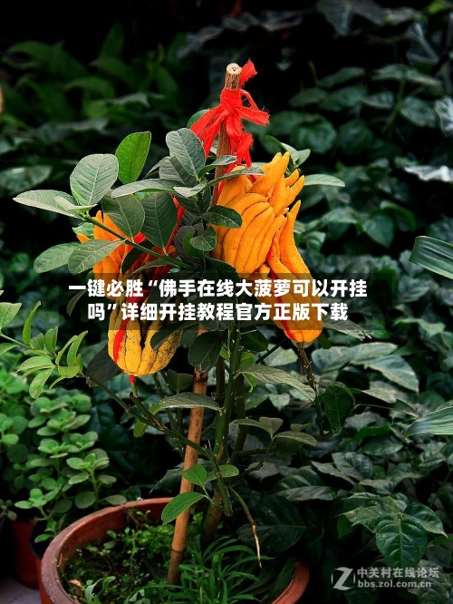 一键必胜“佛手在线大菠萝可以开挂吗”详细开挂教程官方正版下载-第2张图片