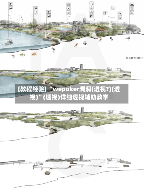 [教程经验] “wepoker漏洞(透视?)(透视)”(透视)详细透视辅助教学-第2张图片