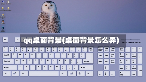 qq桌面背景(桌面背景怎么弄)
