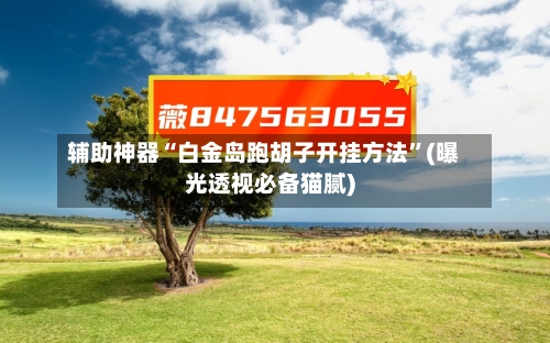 辅助神器“白金岛跑胡子开挂方法	”(曝光透视必备猫腻)-第2张图片