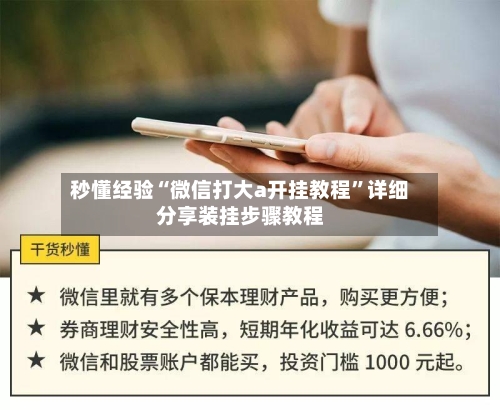 秒懂经验“微信打大a开挂教程	”详细分享装挂步骤教程-第2张图片