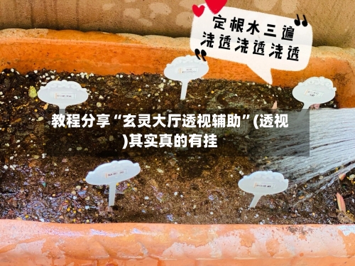 教程分享“玄灵大厅透视辅助	”(透视)其实真的有挂-第2张图片