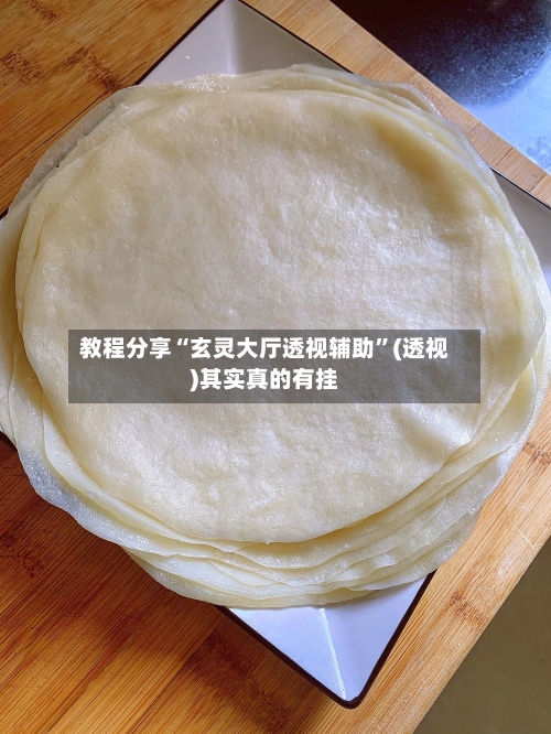 教程分享“玄灵大厅透视辅助”(透视)其实真的有挂-第3张图片