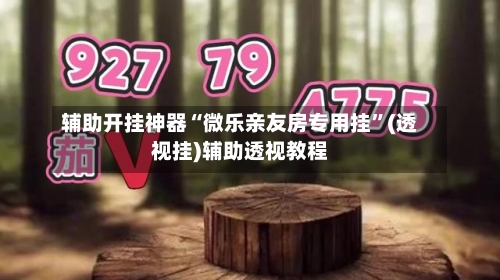 辅助开挂神器“微乐亲友房专用挂”(透视挂)辅助透视教程