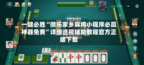 一键必胜“微乐家乡麻将小程序必赢神器免费”详细透视辅助教程官方正版下载-第3张图片