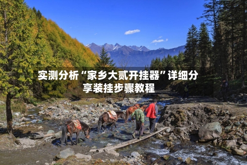 实测分析“家乡大贰开挂器	”详细分享装挂步骤教程-第2张图片