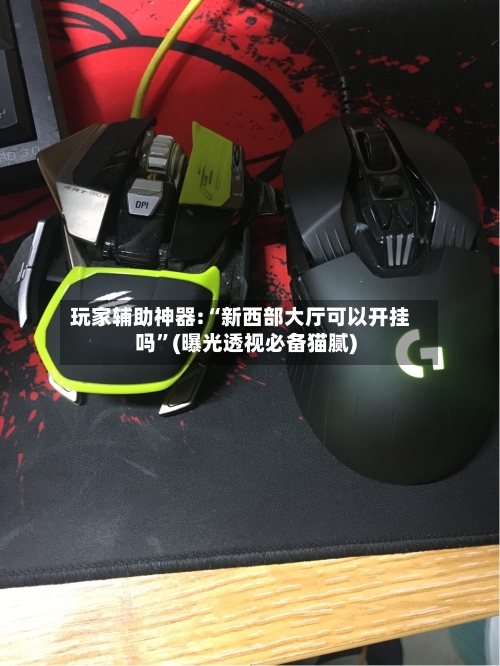 玩家辅助神器:“新西部大厅可以开挂吗”(曝光透视必备猫腻)-第2张图片