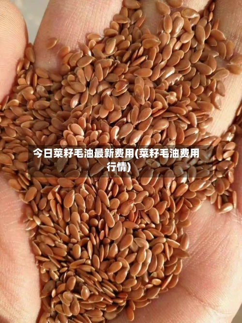 今日菜籽毛油最新费用(菜籽毛油费用行情)