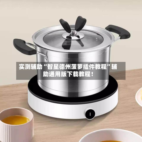 实测辅助“智星德州菠萝插件教程”辅助通用版下载教程！-第2张图片