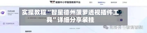 实操教程“智星德州菠萝透视插件工具”详细分享装挂-第2张图片