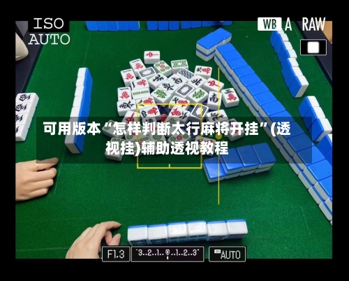 可用版本“怎样判断太行麻将开挂	”(透视挂)辅助透视教程-第2张图片