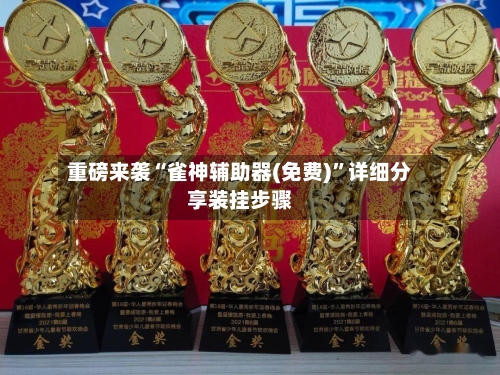 重磅来袭“雀神辅助器(免费)”详细分享装挂步骤-第2张图片