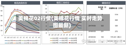 美棉花02行情(美棉花行情 实时走势图最新)