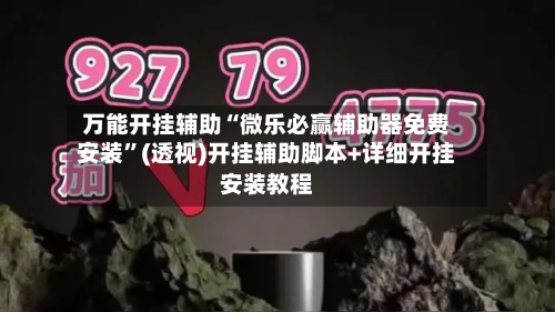 万能开挂辅助“微乐必赢辅助器免费安装”(透视)开挂辅助脚本+详细开挂安装教程-第2张图片