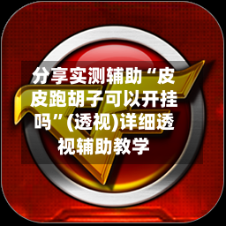 分享实测辅助“皮皮跑胡子可以开挂吗”(透视)详细透视辅助教学