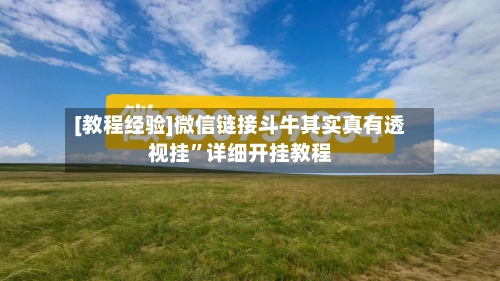 [教程经验]微信链接斗牛其实真有透视挂”详细开挂教程-第3张图片