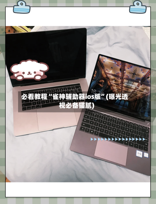 必看教程“雀神辅助器ios版”(曝光透视必备猫腻)-第1张图片