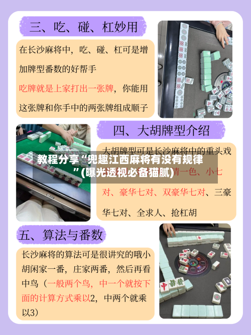 教程分享“兜趣江西麻将有没有规律”(曝光透视必备猫腻)-第2张图片