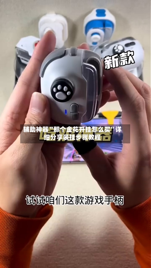 辅助神器“那个金花开挂怎么买	”详细分享装挂步骤教程-第1张图片