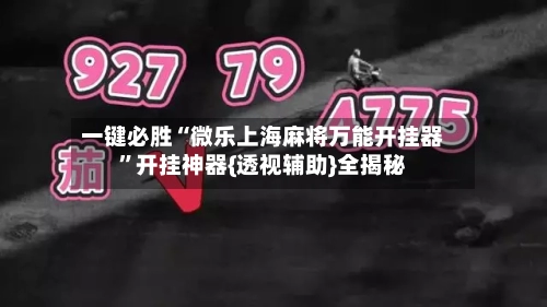 一键必胜“微乐上海麻将万能开挂器”开挂神器{透视辅助}全揭秘-第3张图片