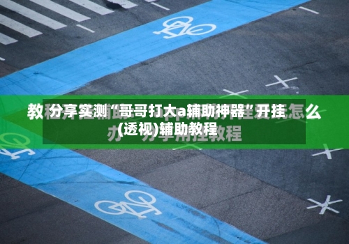 分享实测“哥哥打大a辅助神器”开挂(透视)辅助教程-第2张图片